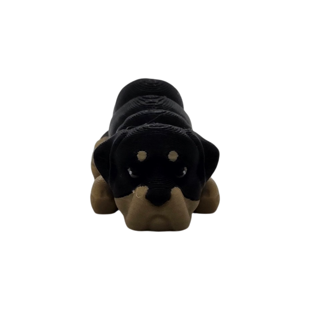 dolibarr:1001:20250730_205511-Photoroom.png:sha256=2481cc9251a8b563ec2322cdf56e733e26ccf56bed97a5b01201500a972cf4d6