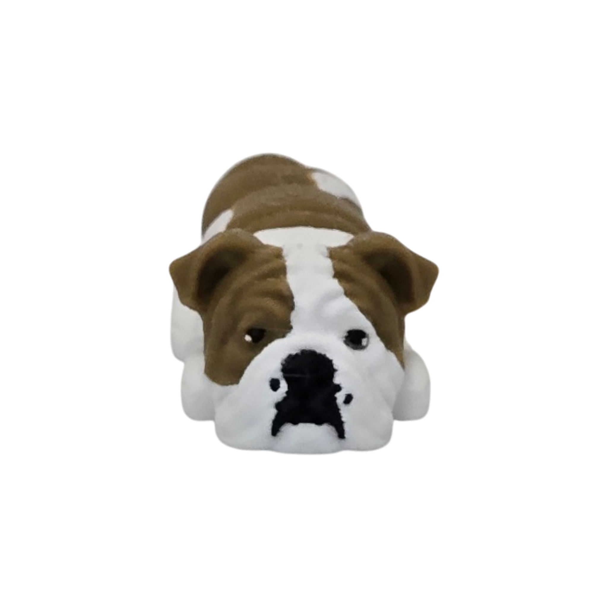 dolibarr:1026:20251019_212701-Photoroom.png:sha256=63a44ee87509537ed416b6f5bc580afdbf673e87442d99de51f2e0d99098a7f9