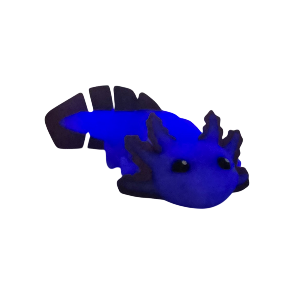 dolibarr:2222:20260330_193808-Photoroom-Photoroom.png:sha256=f6ddda4370d9f931c4aafa244fdc7d999702afa0203cc8a3ae30124f3f7de8af