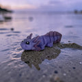 dolibarr:2222:Axolotl - Glow Purple 2048x2480-Photoroom.jpg:sha256=fe3cc6a529e5126421bcae061bebdba740c947db566f2f78292ad05fa9514ee7