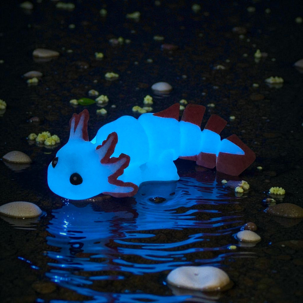 dolibarr:1958:Axolotl - Peachy Glow Blue Dark 2048x2048-Photoroom.jpg:sha256=6fe78e8107a31991ae976c06426196ed9a3142d5f68fccf013214b4041c94245