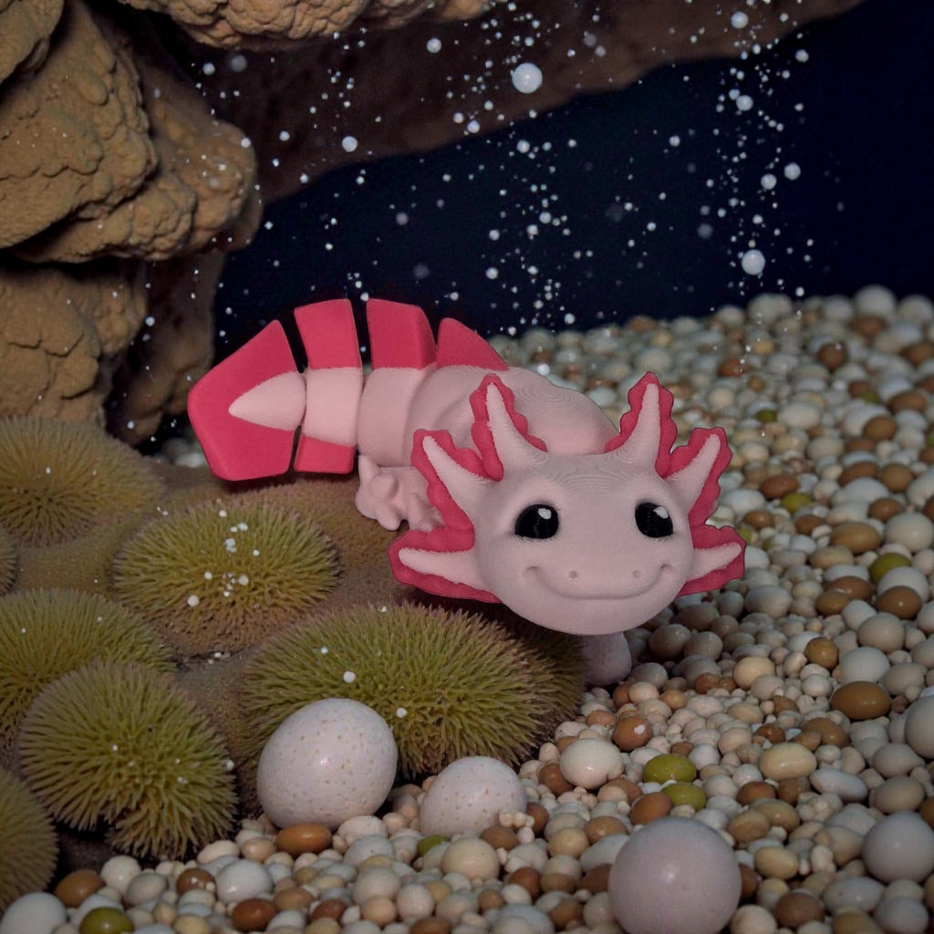 dolibarr:1951:Axolotl 2048x2048-Photoroom.jpg:sha256=87c3188caceea316a5031949828ba33f7215ebbba8ceab3c2424664865f80799