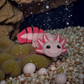dolibarr:1951:Axolotl 2048x2048-Photoroom.jpg:sha256=87c3188caceea316a5031949828ba33f7215ebbba8ceab3c2424664865f80799