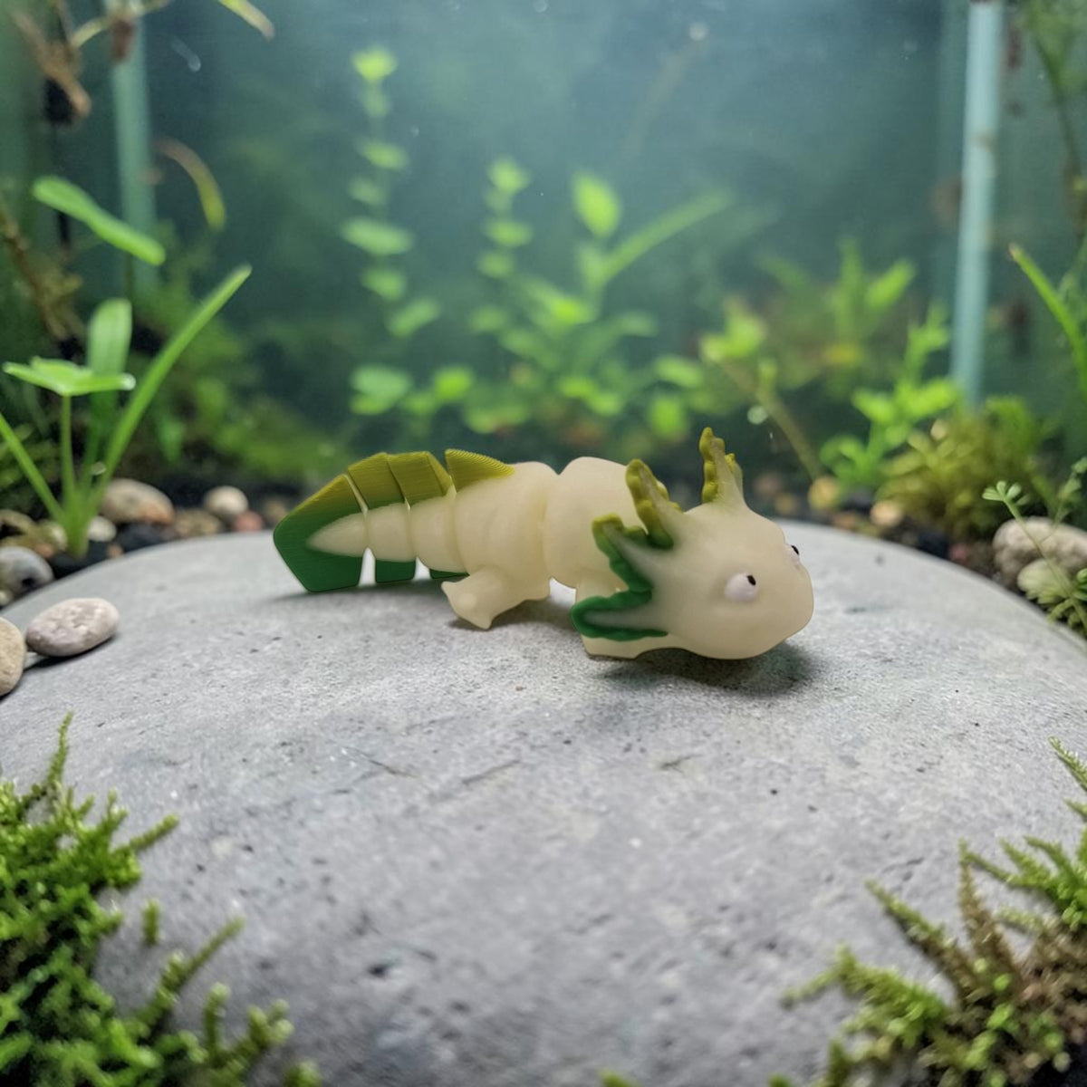 dolibarr:2549:BCL-AC-CRE-AXGG-Axolotl - Glow Green SF-Photoroom.jpg:sha256=ddbf91eaf5ffb7832ebf1d3c671d455490c7a1b6a1c9aac19bc78bbea8106de2