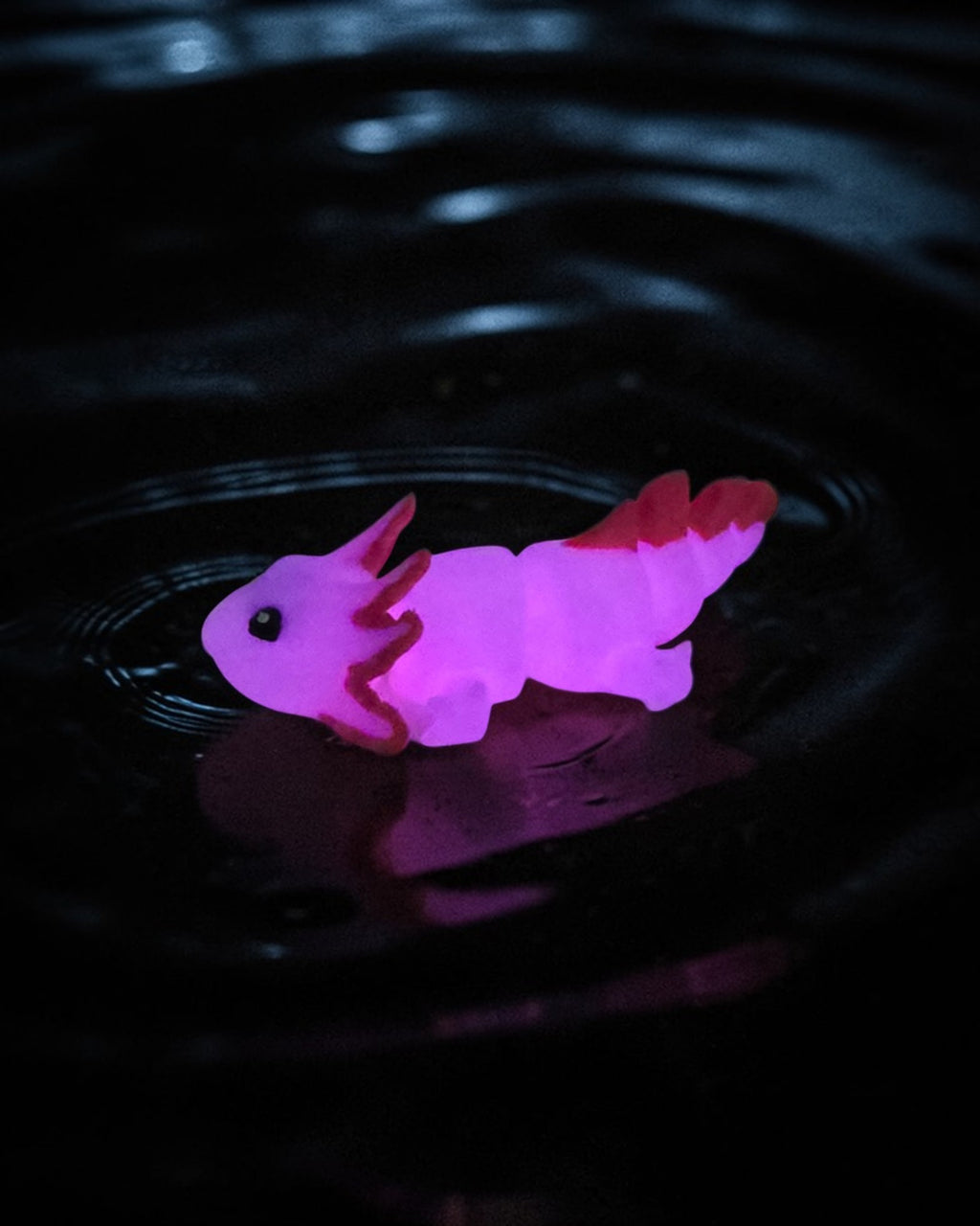 dolibarr:2228:BCL-AC-CRE-AXGN-Axolotl - Glow PinkSQG-Photoroom.jpg:sha256=299b871fdc99