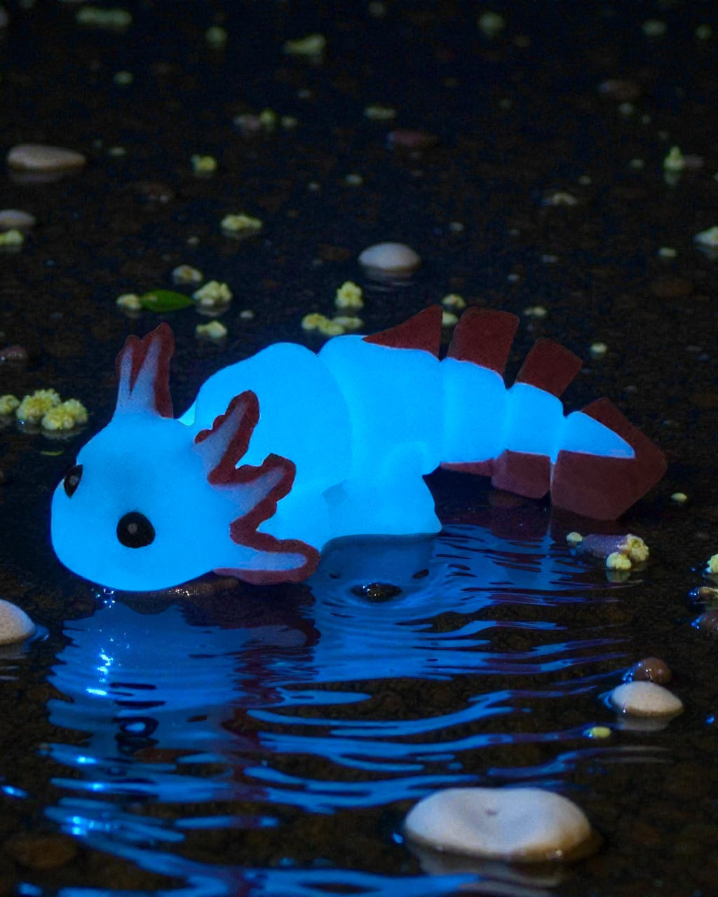 dolibarr:1958:BCL-AC-CRE-AXTP-Axolotl - Peachy Glow BlueSQG-Photoroom.jpg:sha256=6462ba716fe7