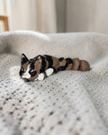 dolibarr:2190:BCL-AC-CRE-CTOR-Tortoiseshell CatSQ-Photoroom.jpg:sha256=8c0134a68686