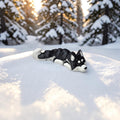 dolibarr:2378:BCL-AC-CRE-DAKM-Alaskan Malamute FlexiSF-Photoroom.jpg:sha256=4a54e1108953