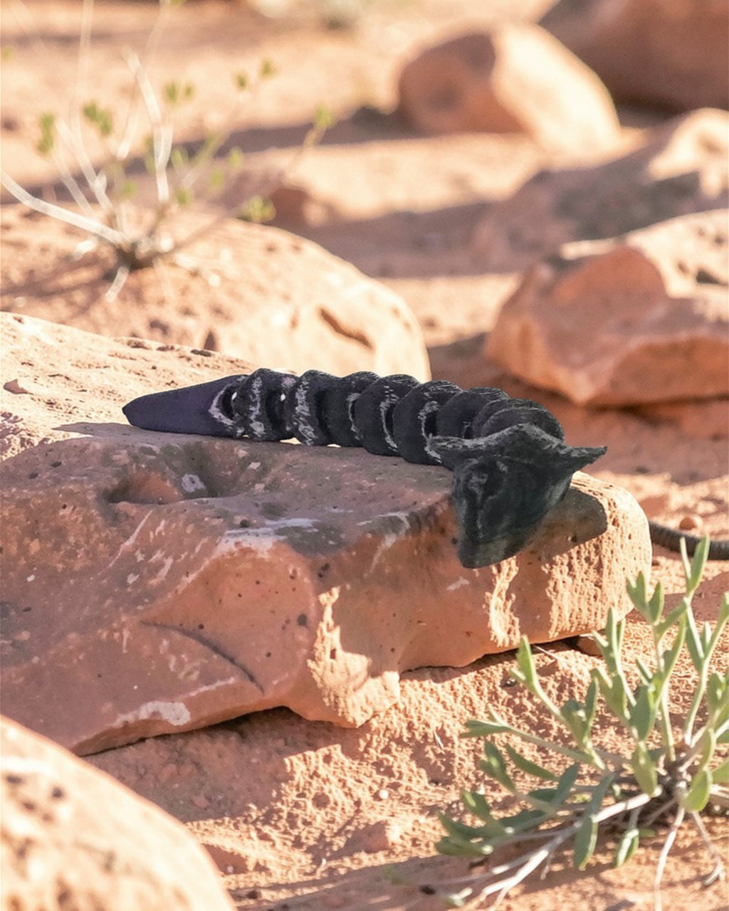 dolibarr:2115:BCL-AC-CRE-N1CS-Nano Cobra - Single ColorSQ-Photoroom.jpg:sha256=f15fe5462fd6