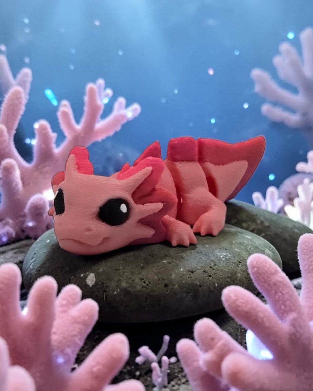 dolibarr:2279:BCL-AC-CRE-N2AL-Nano Axolotl - MulticolorSF-Photoroom.jpg:sha256=66a844764a2c