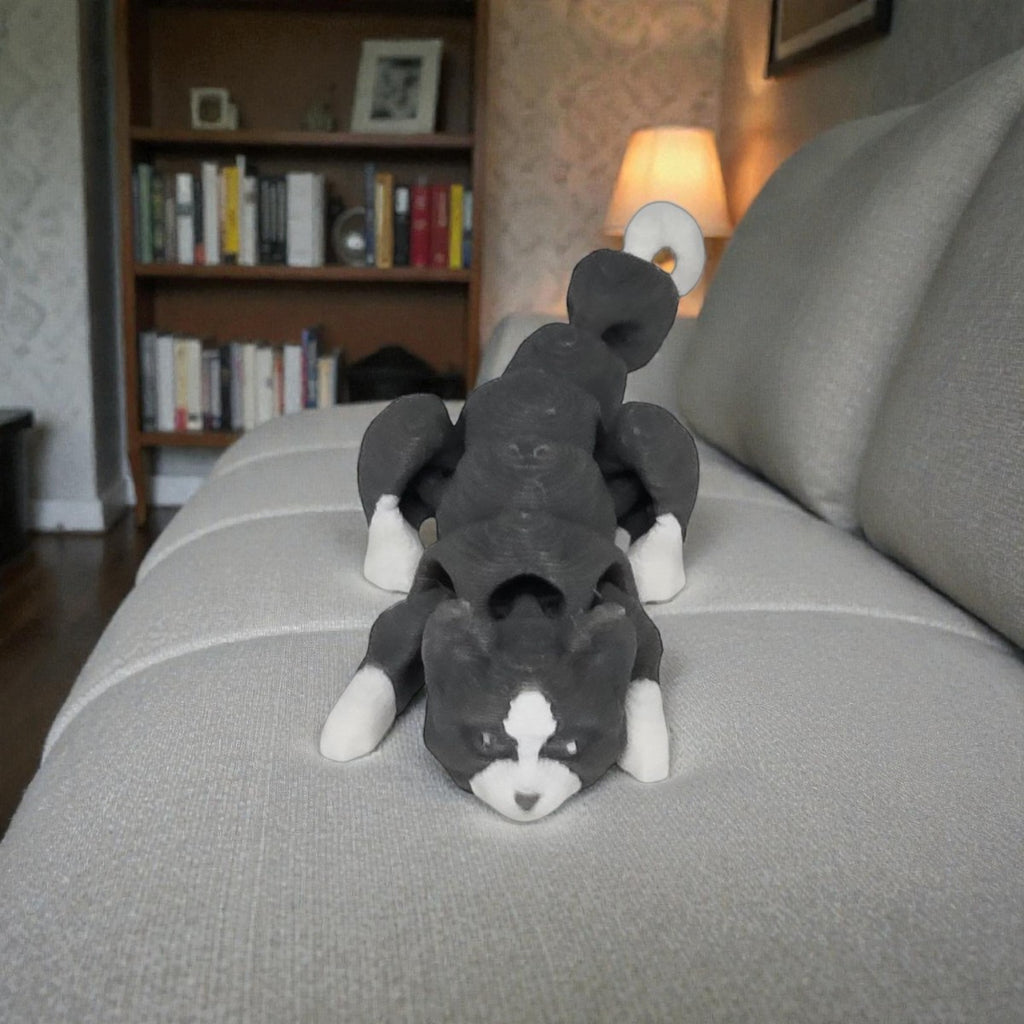 dolibarr:1700:BCL-AC-CRE-N2C2-Nano Cat - Multicolor - GreySQ-Photoroom.jpg:sha256=df8f318556c4