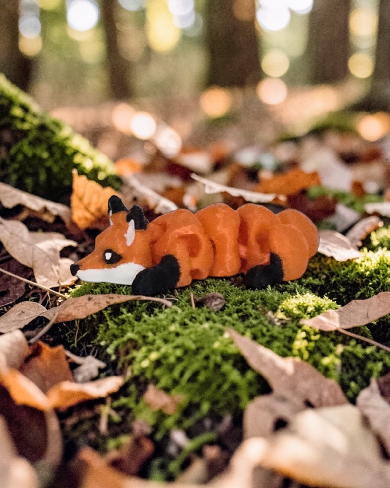 dolibarr:707:BCL-AC-CRE-N2FX-Nano FoxSQ-Photoroom.jpg:sha256=6acf50149a9e