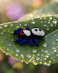 dolibarr:2335:BCL-AC-CRE-N2JS-Nano Jumping SpiderSF-Photoroom.jpg:sha256=41206dc48b83