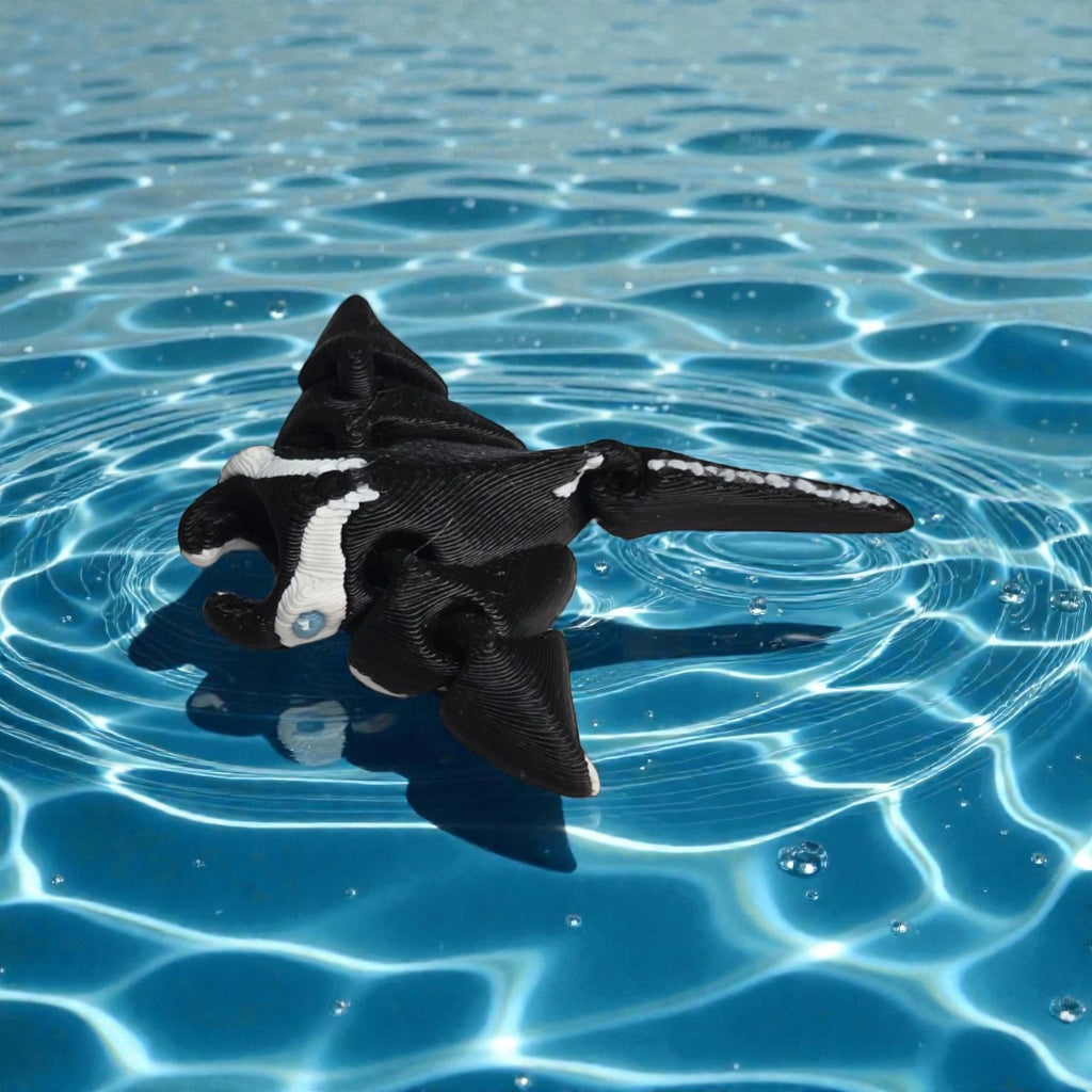 dolibarr:1603:BCL-AC-CRE-N2MR-Nano - Manta Ray - MulticolorSQ-Photoroom.jpg:sha256=fa49837db6b9