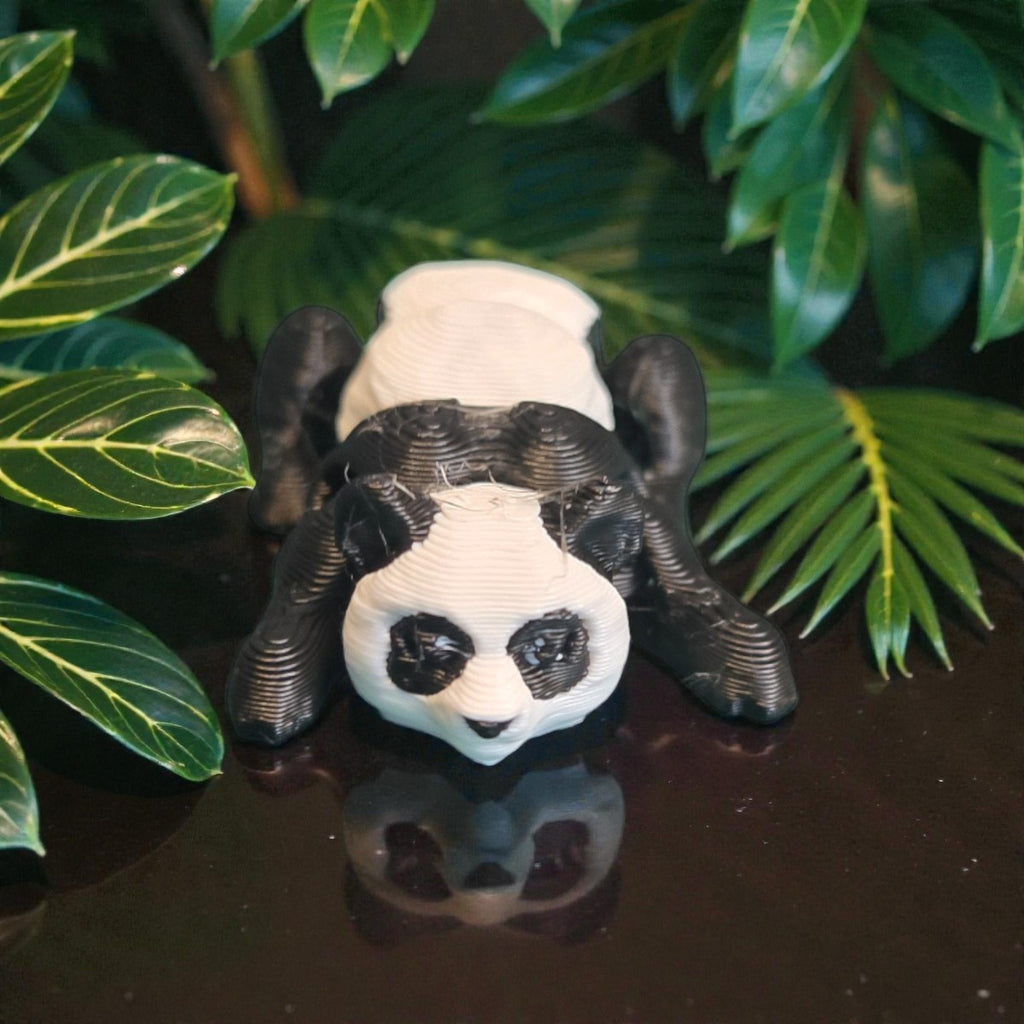 dolibarr:1587:BCL-AC-CRE-N2PA-Nano Panda - MulticolorSQ-Photoroom.jpg:sha256=a6eeb844be2f