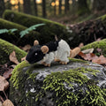dolibarr:2390:BCL-AC-CRE-RATH-Hooded Rat FlexiSF-Photoroom.jpg:sha256=36ee72e3ed23