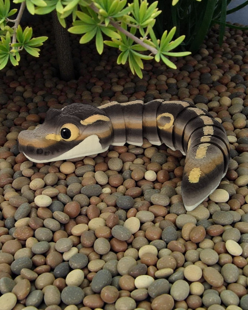 dolibarr:1959:BCL-AC-CRE-YBPO-Young Ball PythonSQ-Photoroom.jpg:sha256=647db733e950