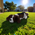 dolibarr:988:BCL-AC-FLX-DBAH-Basset Hound fsq-Photoroom.jpg:sha256=9beaab6eed40