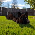 dolibarr:1055:BCL-AC-FLX-DGES-white-Photoroom.jpg:sha256=4d3f6dbbdb81