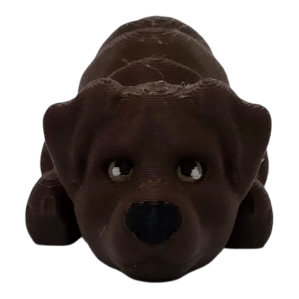 dolibarr:1052:BCL-AC-FLX-DLAB-20251019_211848-Photoroom.png:sha256=5b0b7fd3b4d0