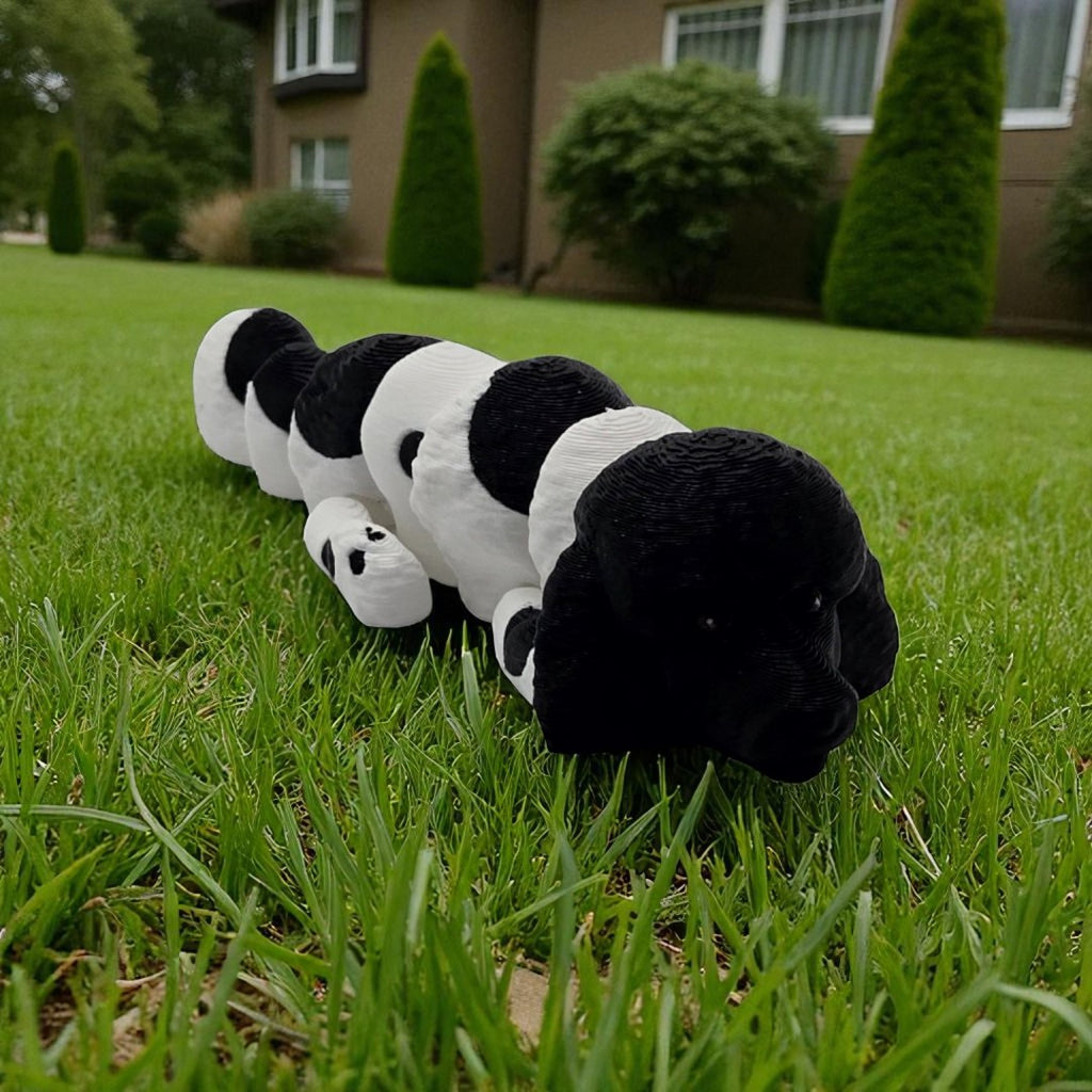 dolibarr:976:BCL-AC-FLX-DPOO-Poodle FSQ-Photoroom.jpg:sha256=7a921caa04a6