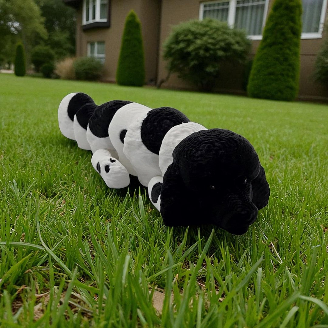 dolibarr:976:BCL-AC-FLX-DPOO-Poodle FSQ-Photoroom.jpg:sha256=7a921caa04a6
