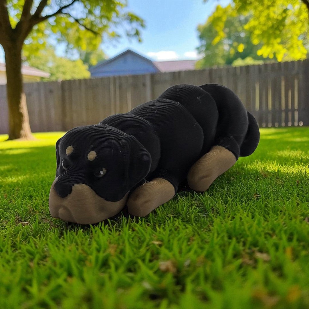 dolibarr:1001:BCL-AC-FLX-DROT-Rottweiler fsq-Photoroom.jpg:sha256=85a8c429bbbe