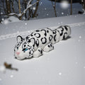 dolibarr:1600:BCL-AC-FLX-SLEO-Snow Leopard FlexiSQ-Photoroom.jpg:sha256=0137d28cc8d6