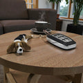 dolibarr:595:BCL-AC-KEY-DBAH-Basset Hound Keychainsq-Photoroom.jpg:sha256=2b6184ba1414