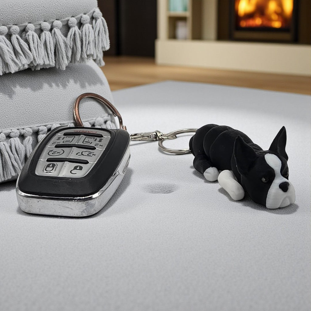 dolibarr:594:BCL-AC-KEY-DBOT-Boston Terrier-Photoroom.jpg:sha256=068ff43d5b30