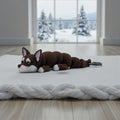 dolibarr:1077:BCL-AC-KEY-DCHI-ChihuahuaSQ-Photoroom.jpg:sha256=4f5af46911e0