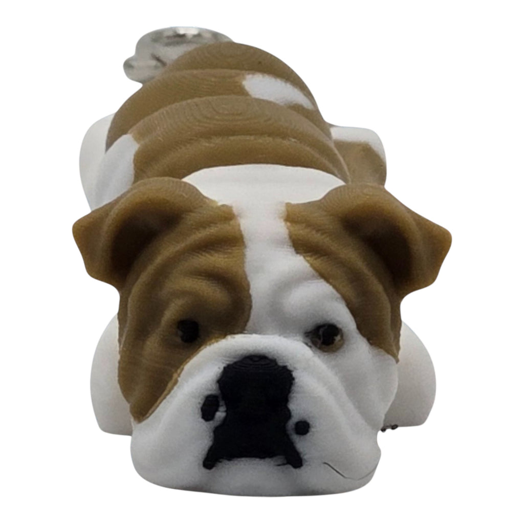 dolibarr:597:BCL-AC-KEY-DENB-20250630_123810-Photoroom-Photoroom-Photoroom.jpg:sha256=4d29fb68d0a1