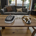 dolibarr:597:BCL-AC-KEY-DENB-English Bulldog KeychainSQ-Photoroom.jpg:sha256=42e63886f597