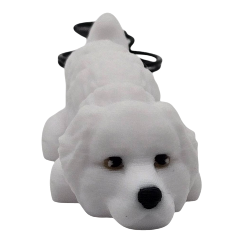 dolibarr:940:BCL-AC-KEY-DGRP-20250725_163136-Photoroom-Photoroom.png:sha256=5ab7b1d38b4e