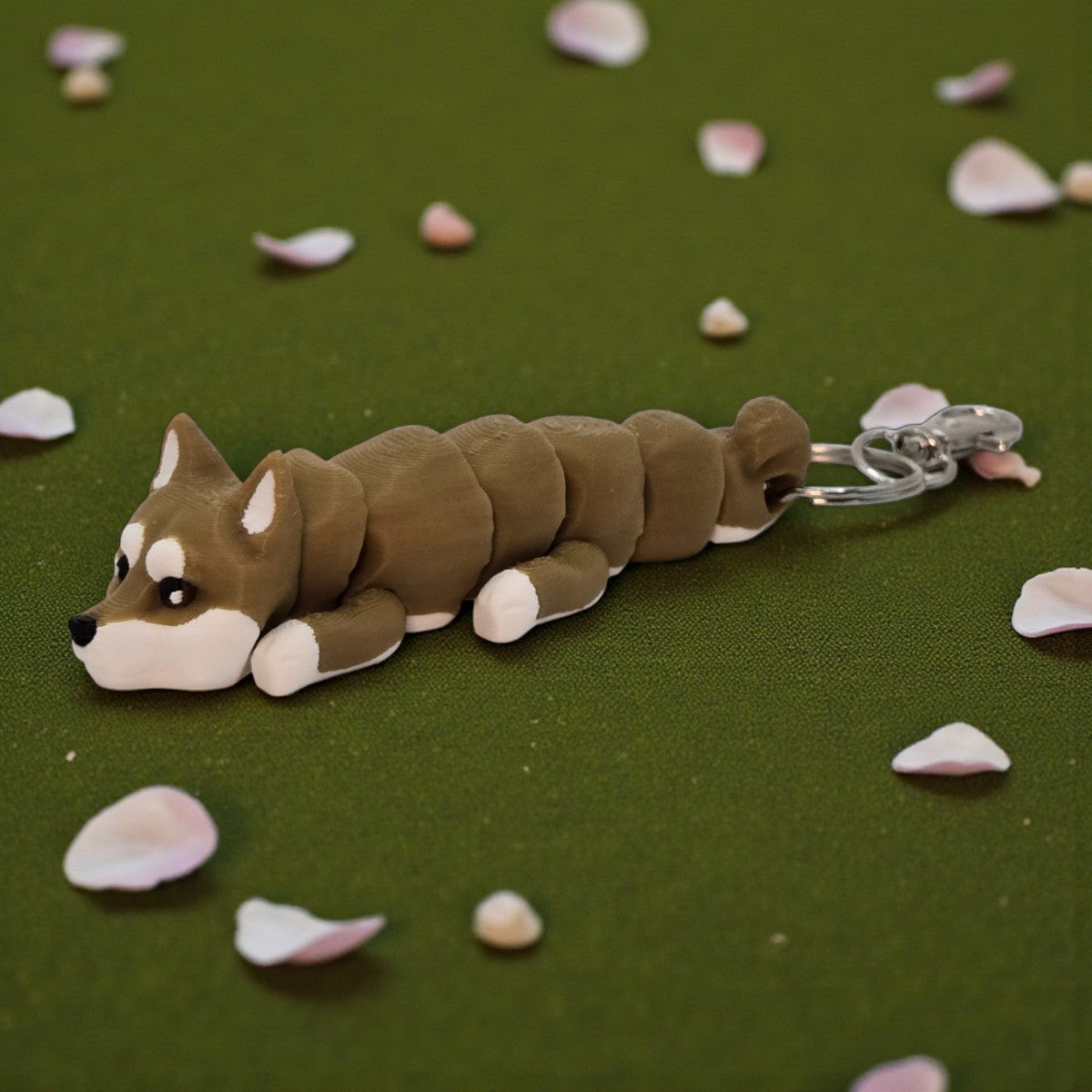 dolibarr:1394:BCL-AC-KEY-DPOM-PomeranianSQ-Photoroom.jpg:sha256=ab32087f3cf7