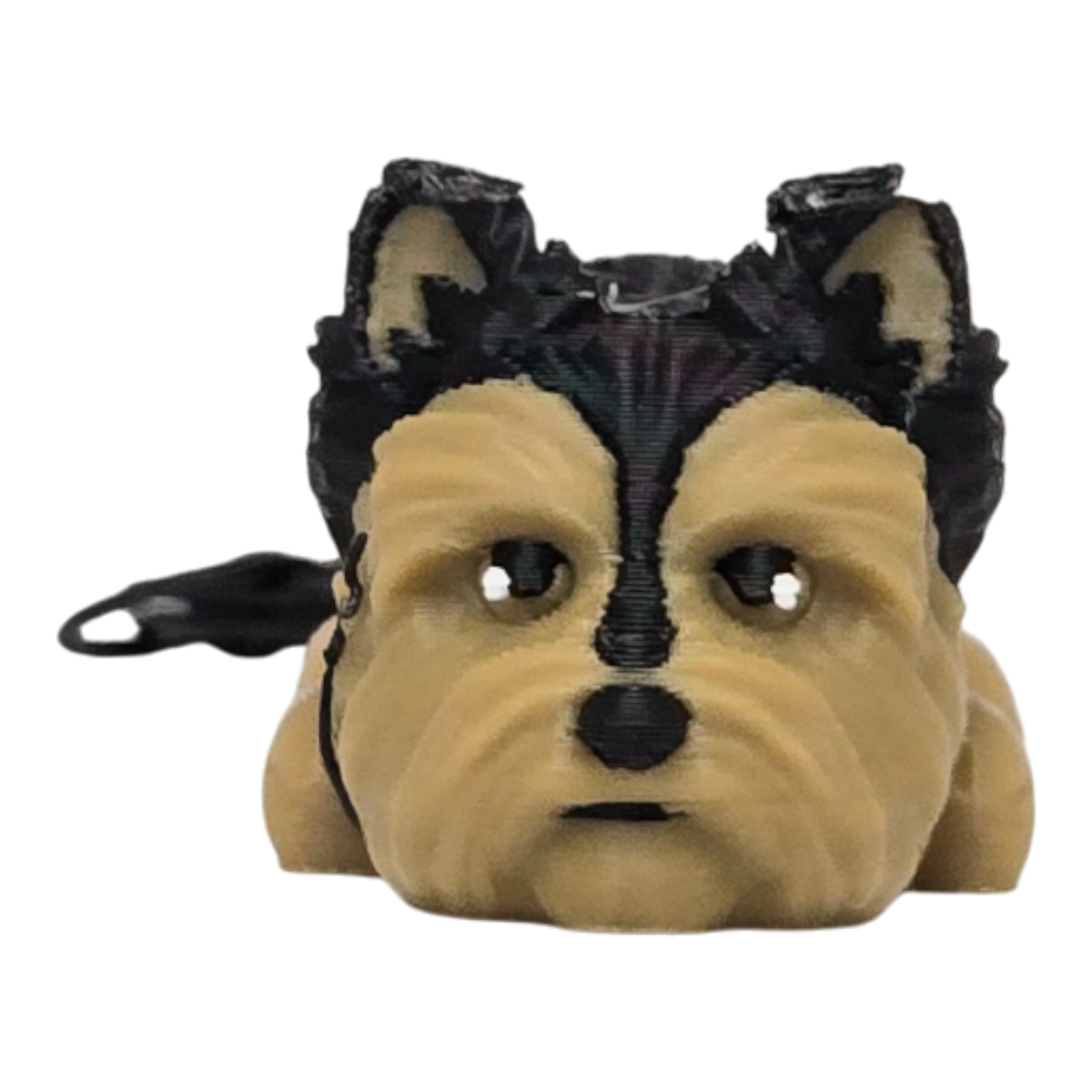 dolibarr:1415:BCL-AC-KEY-DYOR-20251011_194455-Photoroom.png:sha256=f88e2ac83c4a