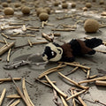 dolibarr:1373:BCL-AC-KEY-FERT-Ferret KeychainSQ-Photoroom.jpg:sha256=3388bdfc6013