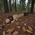 dolibarr:1634:BCL-AC-KEY-LION-Keychain - LionSQ-Photoroom.jpg:sha256=95d17d6d1b1d