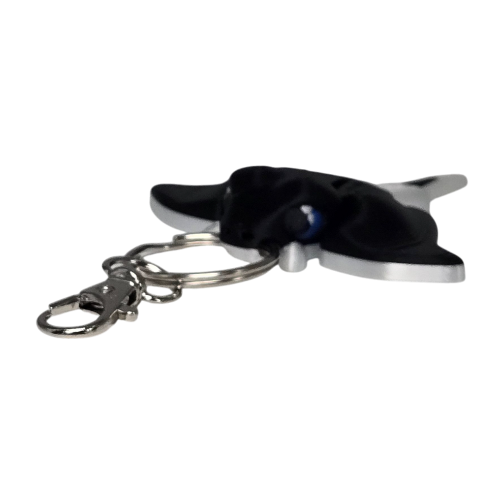 dolibarr:1419:BCL-AC-KEY-SRAY-20251122_232553-Photoroom.png:sha256=fd03417065a8