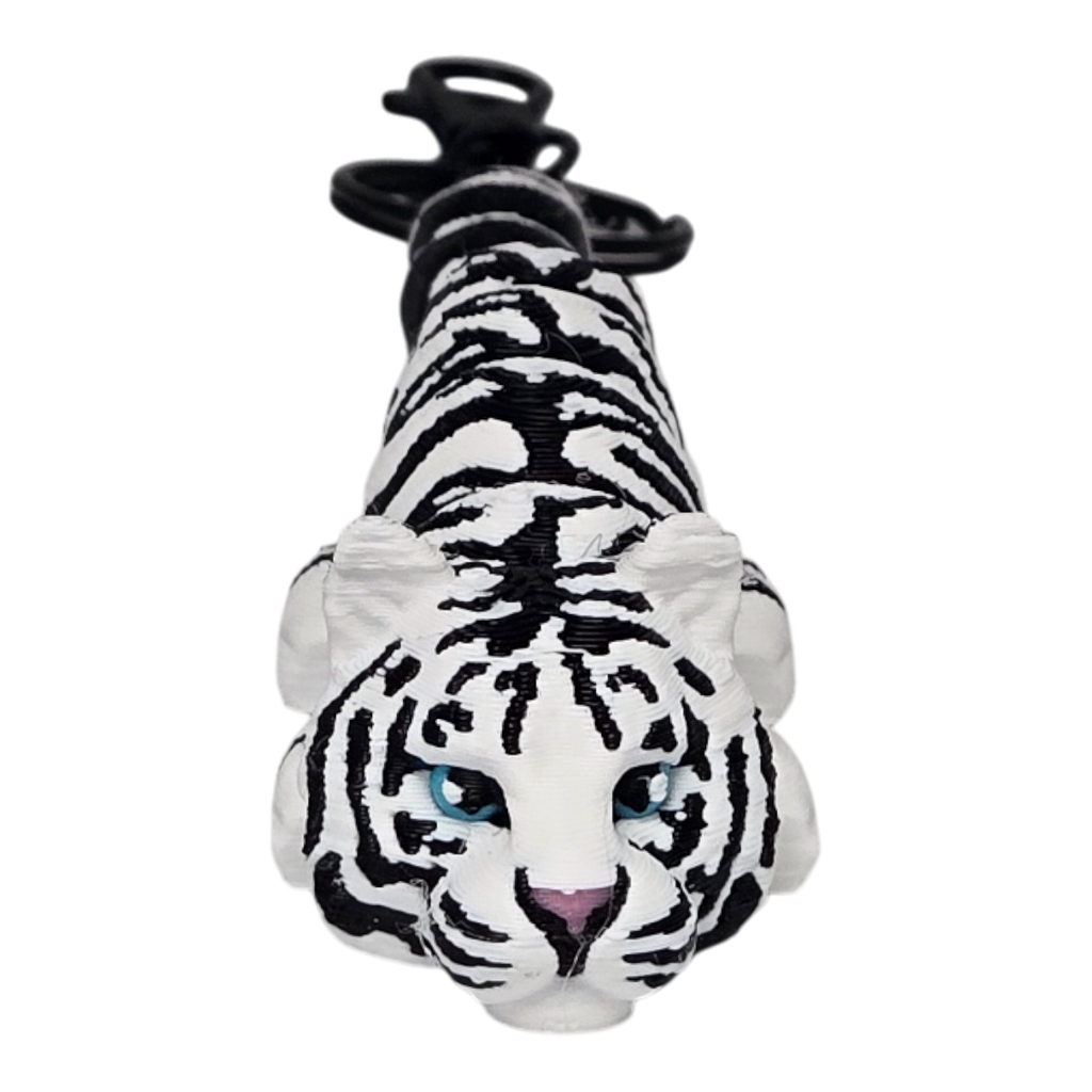 dolibarr:1620:BCL-AC-KEY-WTGR-20251124_204957-Photoroom.png:sha256=fdec2479fe46