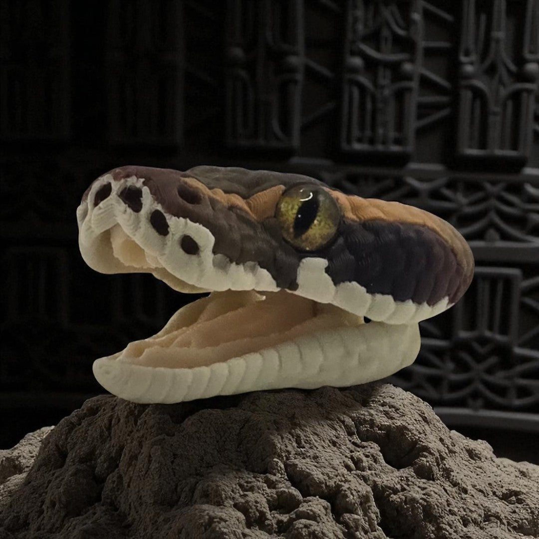 dolibarr:844:BCL-AC-MAG-BPRR-Magnet - Ball Python Head-Photoroom.jpg:sha256=04be517ab5ee