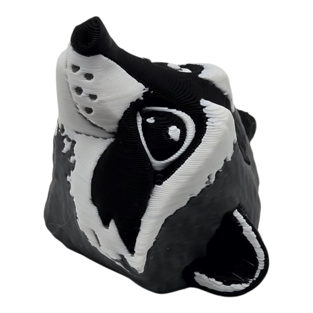 dolibarr:1238:BCL-AC-MAG-COON-20250902_200807-Photoroom.png:sha256=21298ae7eae5