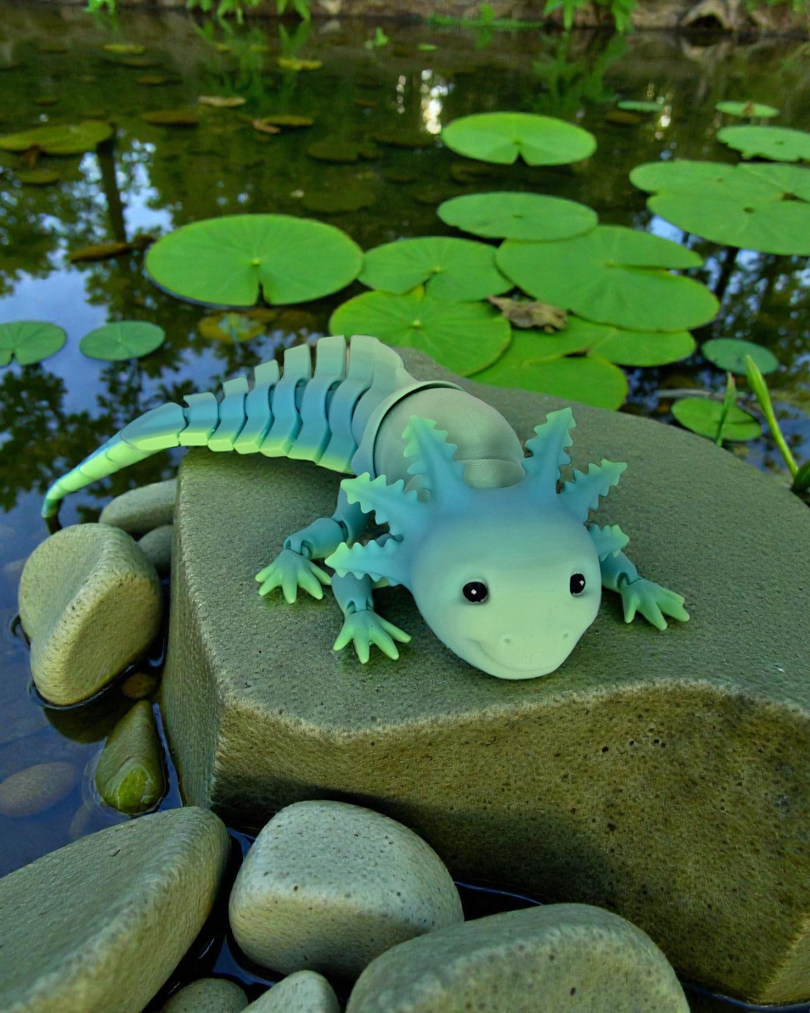 dolibarr:1941:BCL-AC-RPH-AXMM-AxolotlSQ-Photoroom.jpg:sha256=fb98663f98fa