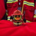 dolibarr:1708:BCL-AF-DPD-CFI1-Fireman Duck - Male SQ-Photoroom-Photoroom.jpg:sha256=aba4b60c621d