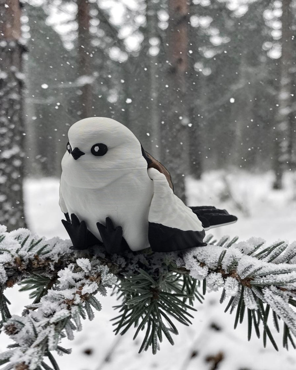 dolibarr:2246:BCL-AF-OAF-BRSF-Snow Fairy BirdSF-Photoroom.jpg:sha256=bcd4fa47ff63