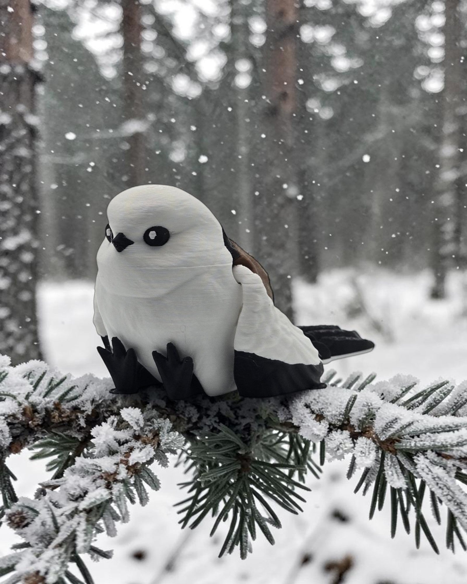 dolibarr:2246:BCL-AF-OAF-BRSF-Snow Fairy BirdSF-Photoroom.jpg:sha256=bcd4fa47ff63