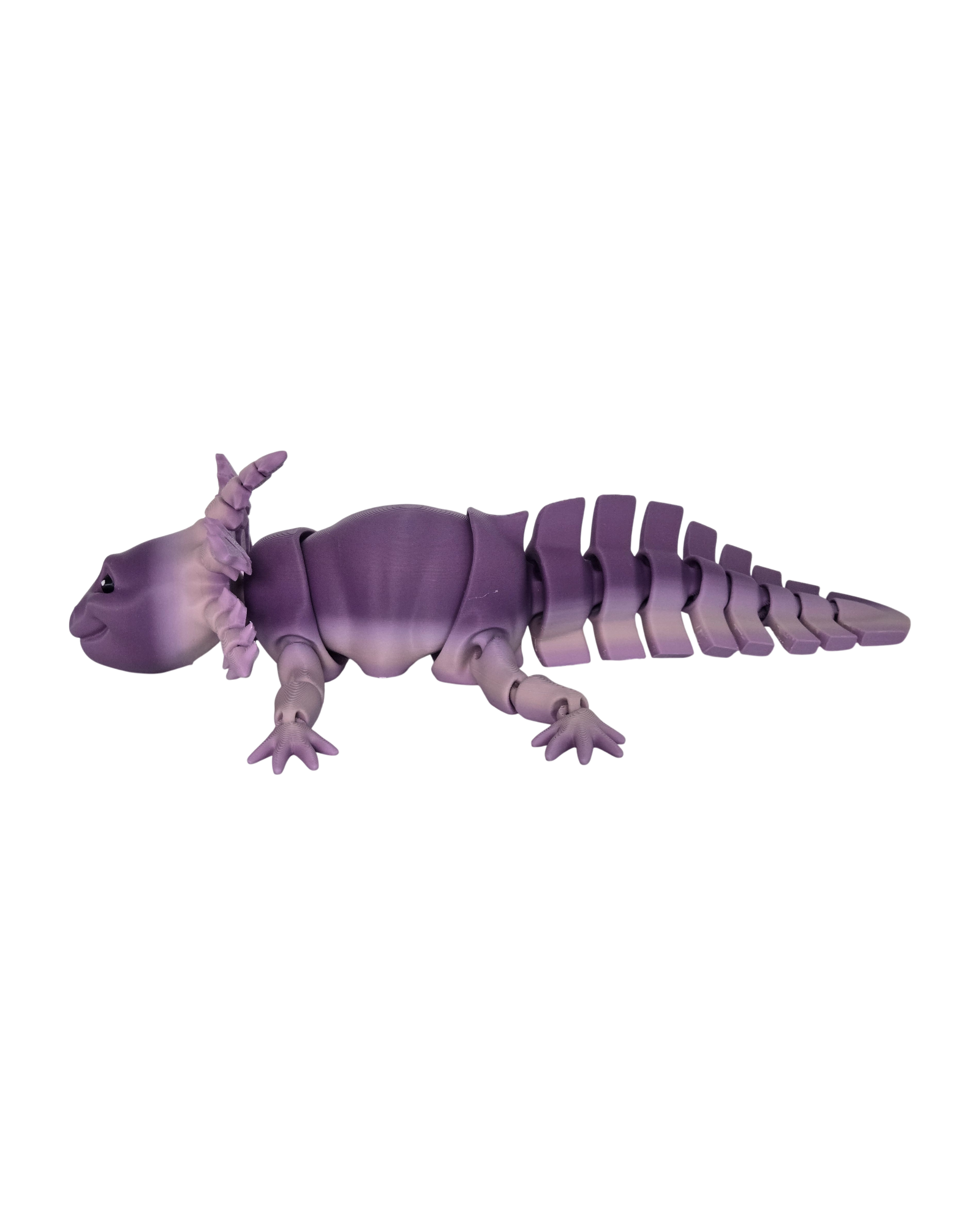 dolibarr:1980:BCL-AF-RPH-AXPV-20260216_193917-Photoroom.png:sha256=ce1929cceb34