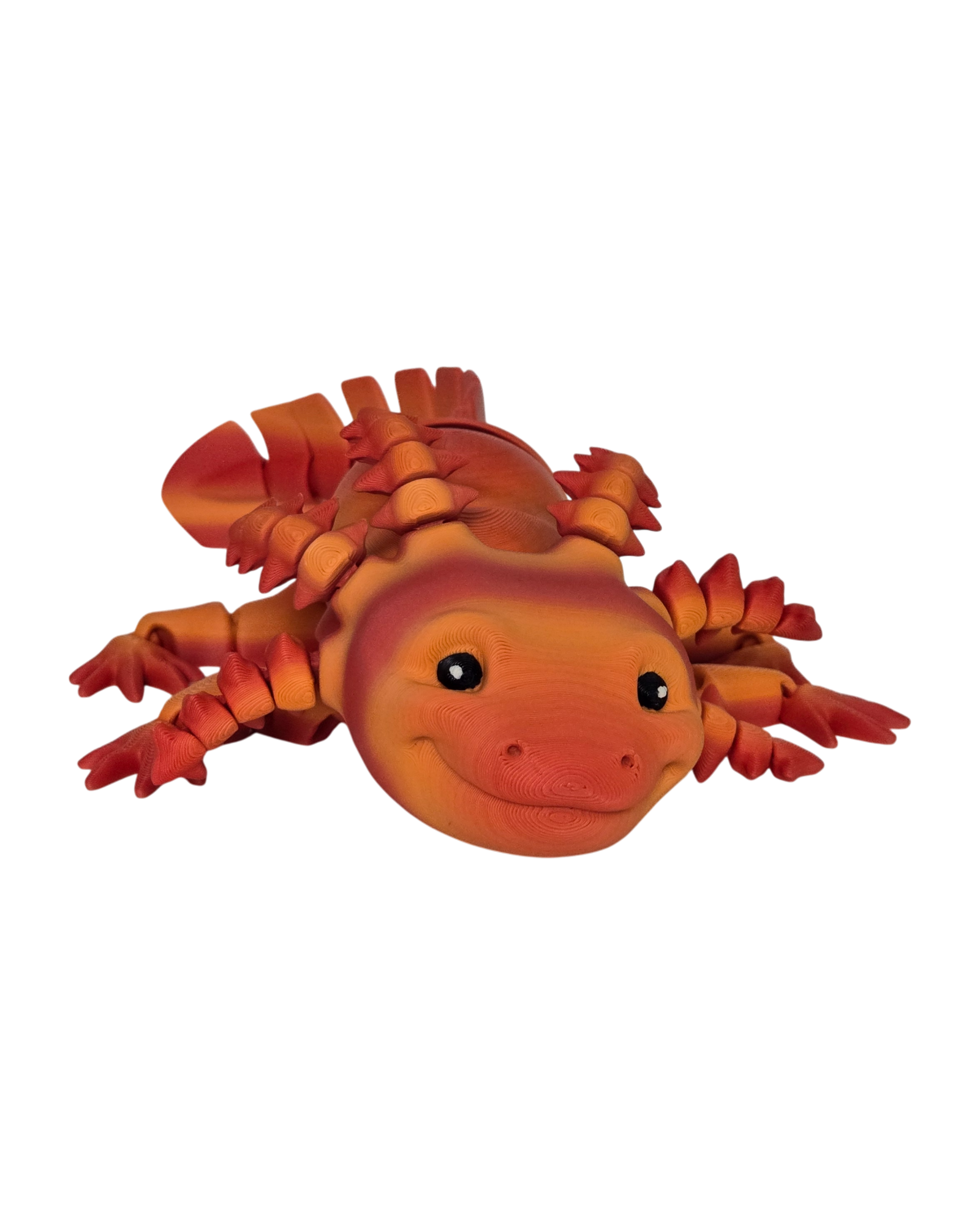 dolibarr:1997:BCL-AF-RPH-AXRM-20260218_161004-Photoroom.png:sha256=839945b37b14