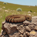 dolibarr:1082:BCL-AF-RPH-B4CB-BushViperCastleBrickSQ-Photoroom.jpg:sha256=d660992427db