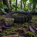 dolibarr:1101:BCL-AF-RPH-B4RE-Bush Viper - 24in - Royal EclipseSQ-Photoroom.jpg:sha256=4b55996da5f3
